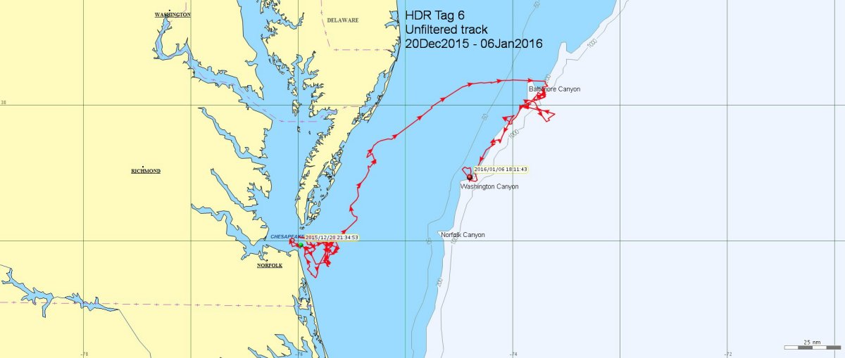 Map-2016-01-06-20-22-22-lg.jpg