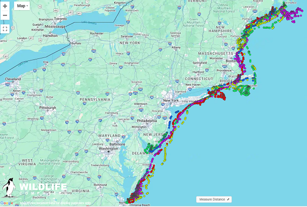 Seal_Blog_2025_Wildlife_Computers_Map