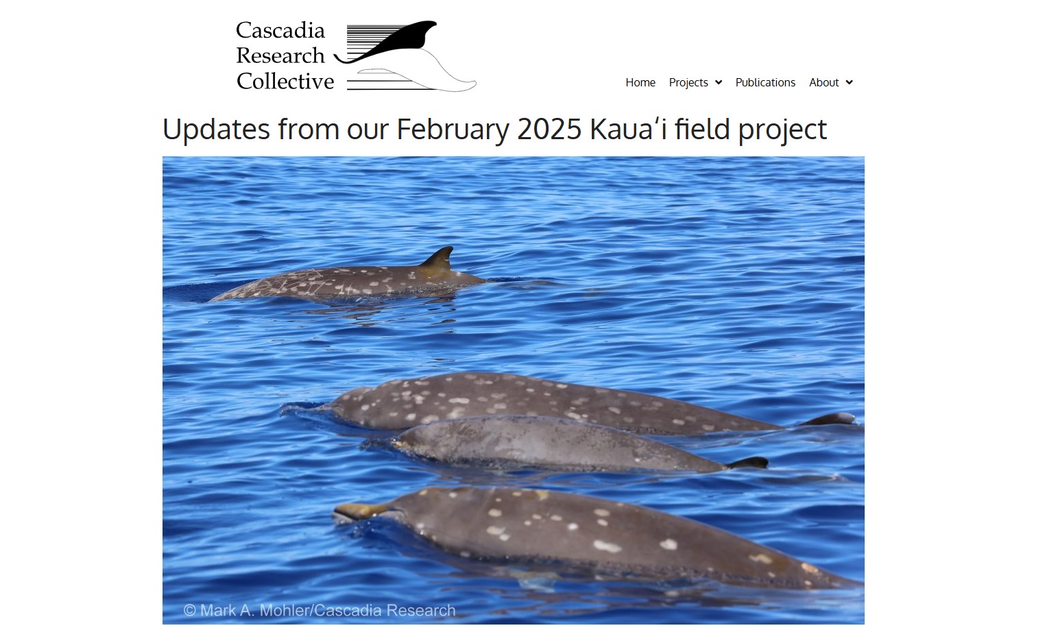 CRC-Feb25_Kauai.jpg