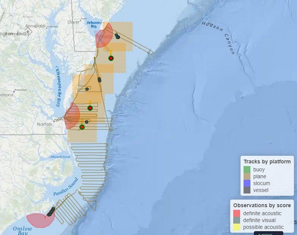 Image slide of A screenshot of Whale Map showing survey tracks and right whale sightings from Jan 21 to 27, 2024.
