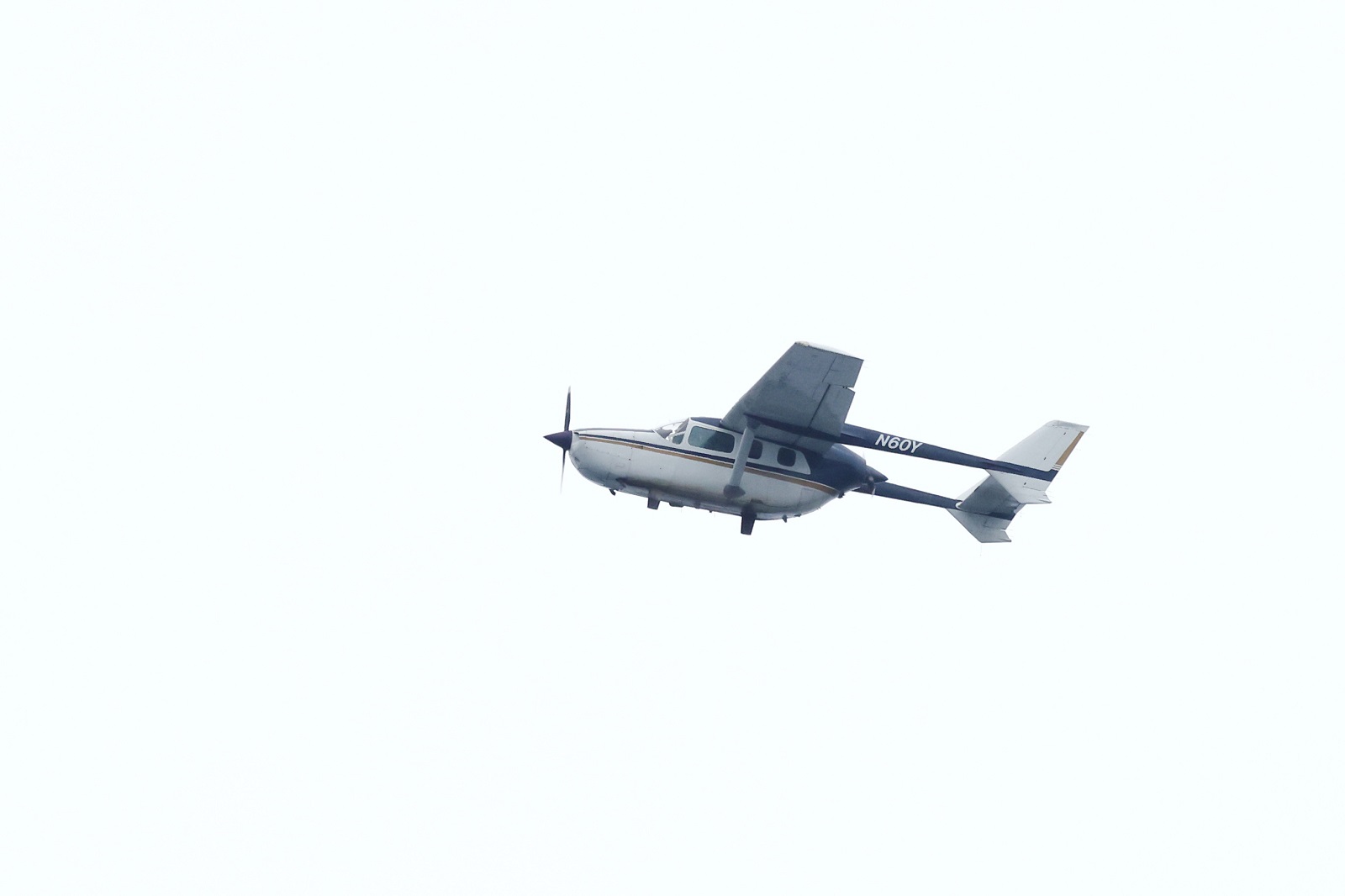 Image slide of Survey aircraft circling above a pair of North Atlantic right whales off the coast of Virginia on 23 January 2024.

