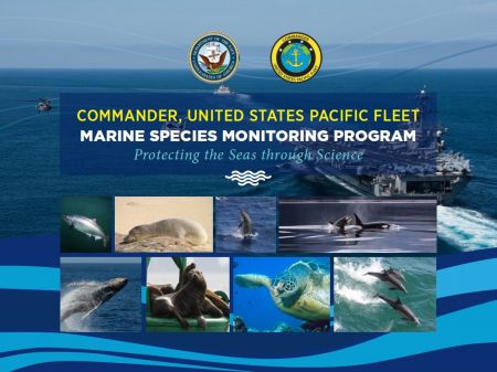 Marine Species Monitoring brochure