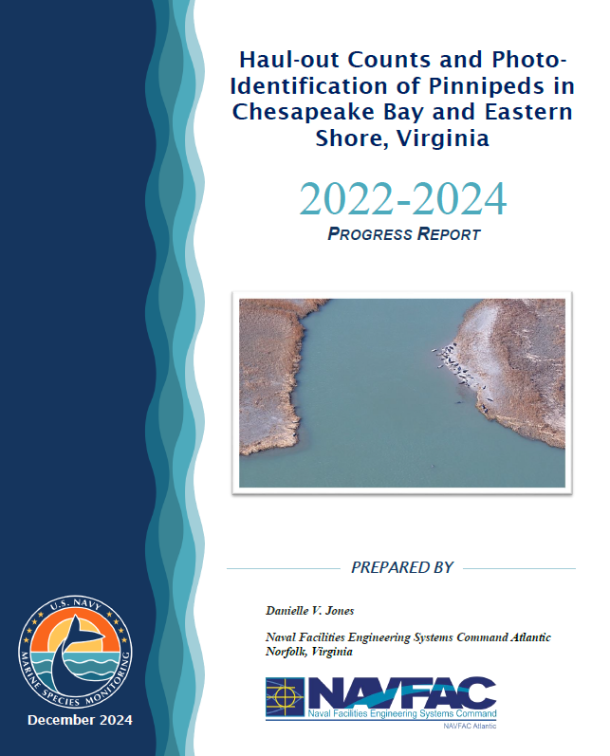 Haul-out Counts and Photo-Identification of Pinnipeds in Chesapeake Bay and Eastern Shore, Virginia: 2022-24 Progress Report thumbnail image