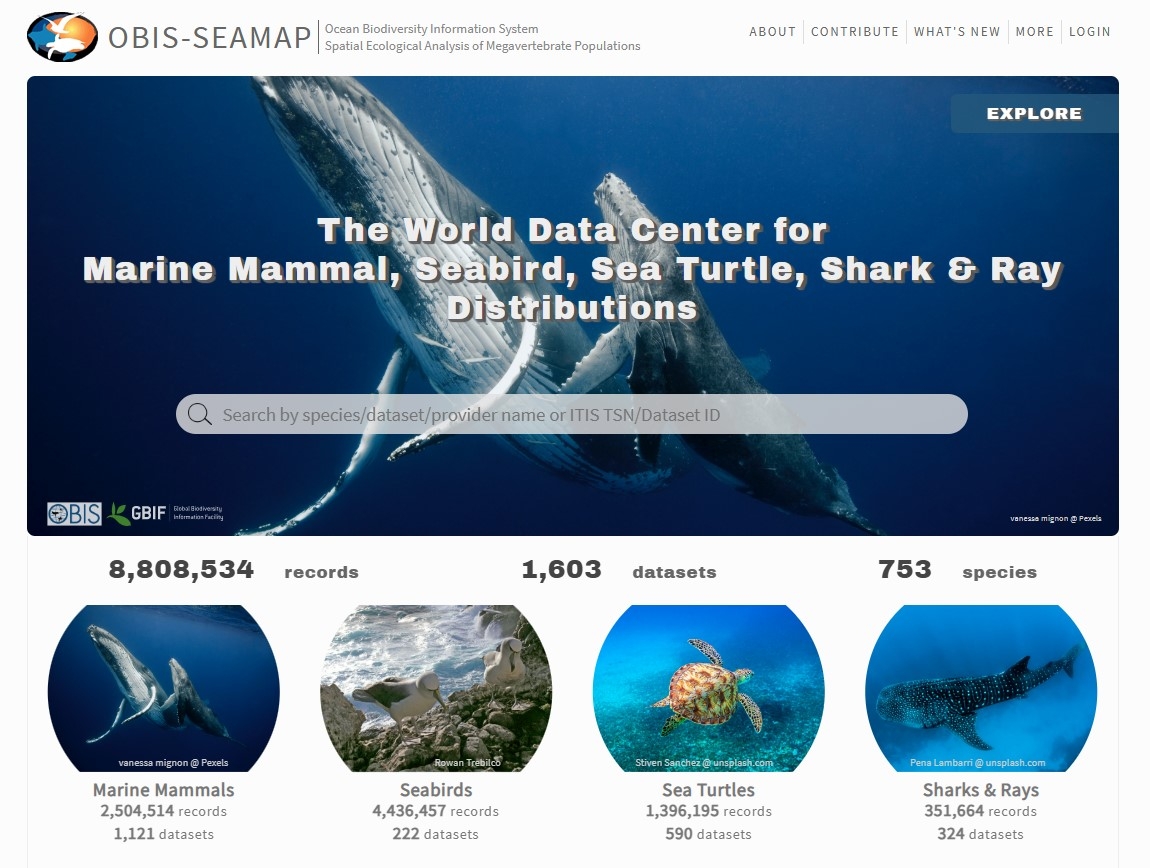 The World Data Center for Marine Mammal, Seabird, Sea Turtle, Shark & Ray Distributions