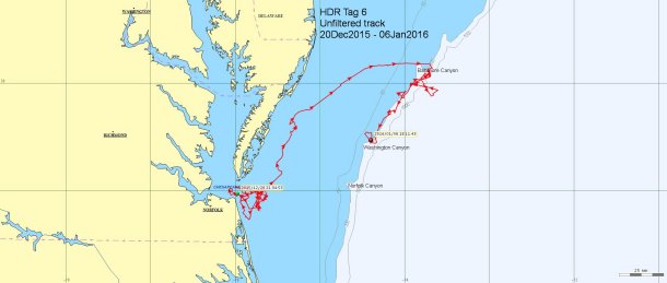 Map-2016-01-06-20-22-22-sm.jpg