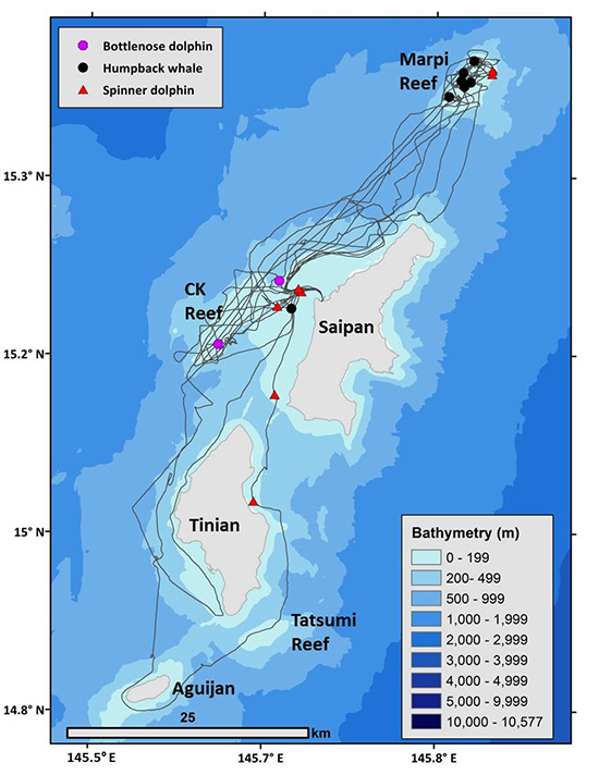 Map of survey effort and sightings March 2016 CNMI