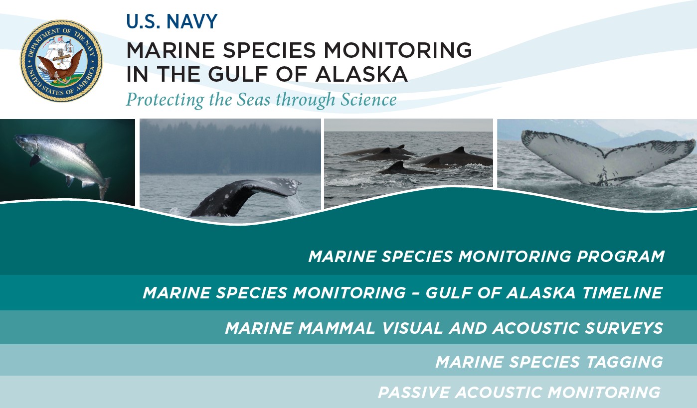 navy-marine-species-monitoring-outreach